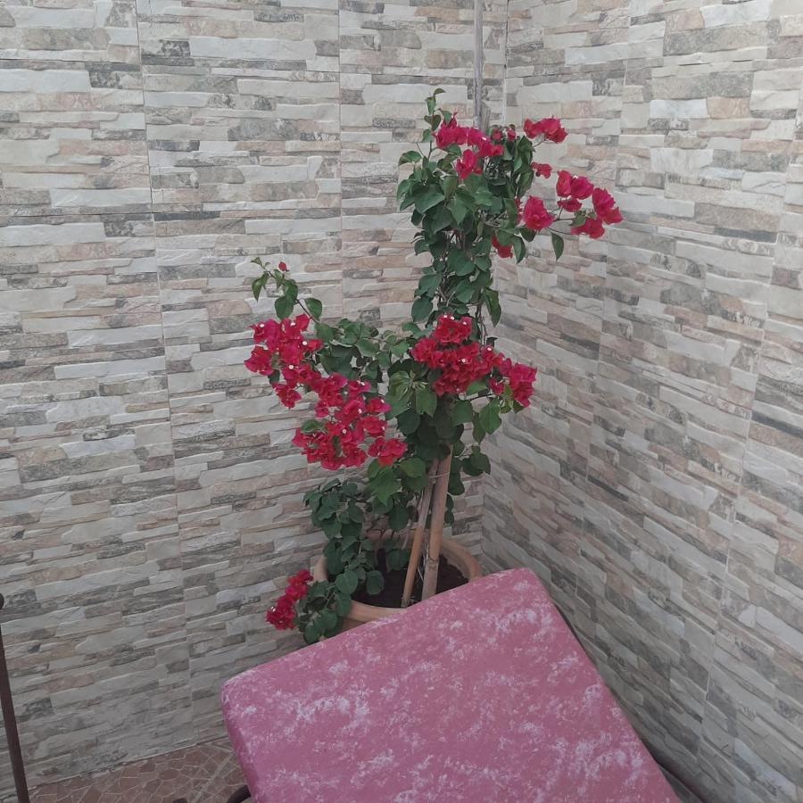 Riad Bab Almadina Marraquexe Exterior foto