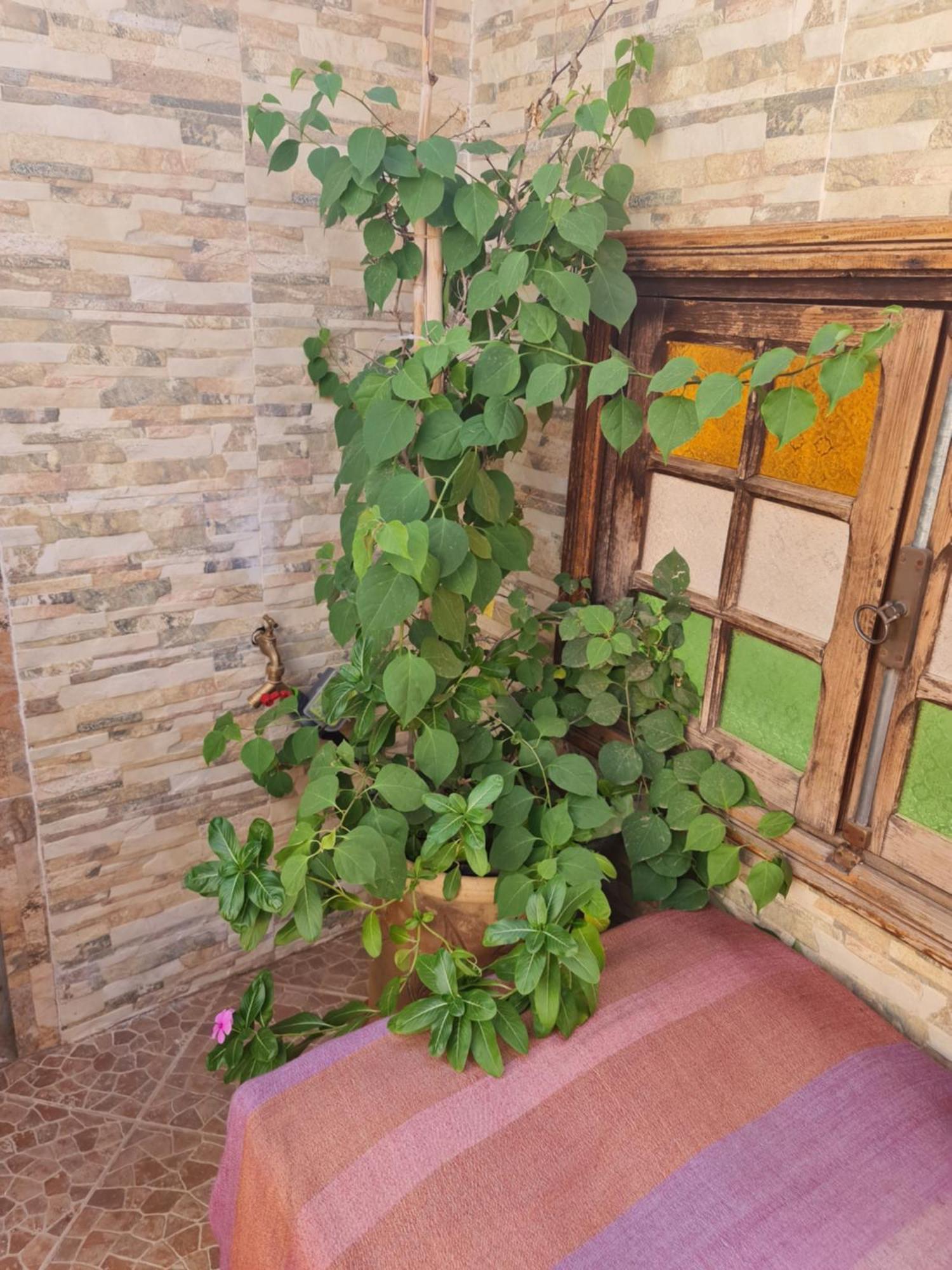 Riad Bab Almadina Marraquexe Exterior foto